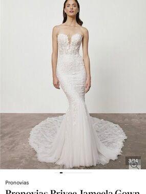NWT Pronovias Strapless Jameela Wedding Gown in Ivory